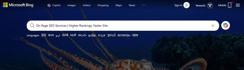 On Page SEO Services | Higher Rankings, Faster Site