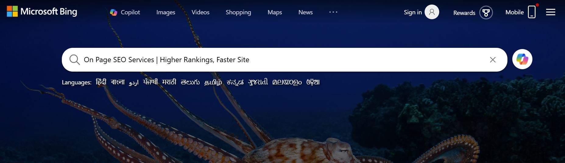 On Page SEO Services | Higher Rankings, Faster Site