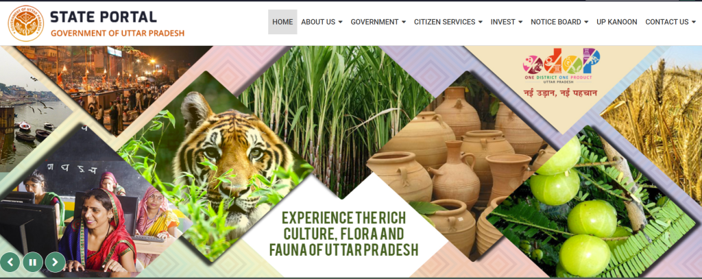 Up State in India: History and Culture Unveiled
