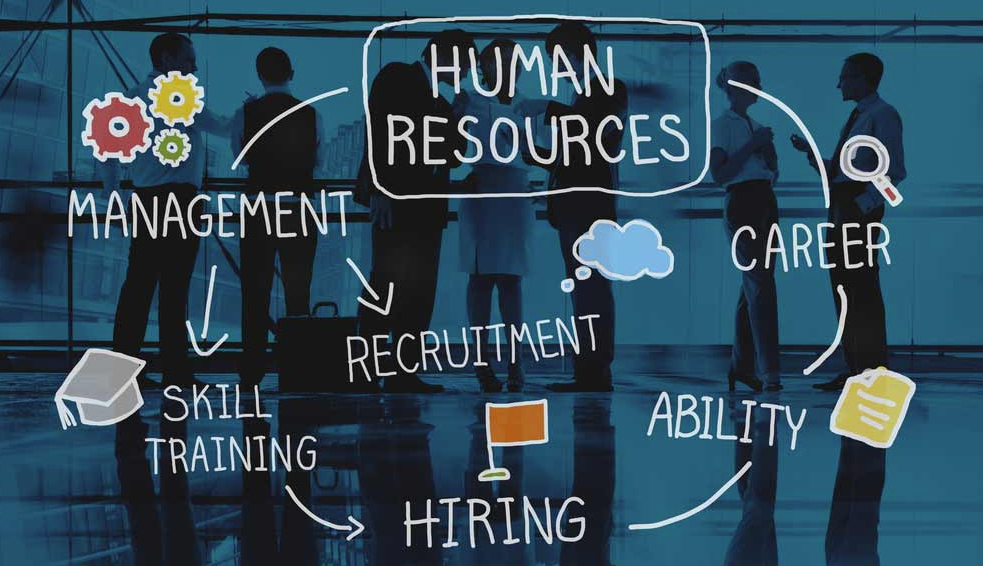 What Is Human Resource Management? Definition + Career Complete Guide