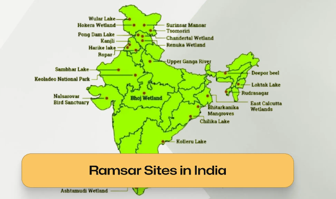 Ramsar Sites in India, State-wise List, Largest, Smallest & Oldest Sites