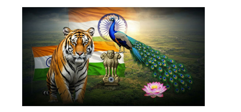 National Item of India: Symbol of Heritage