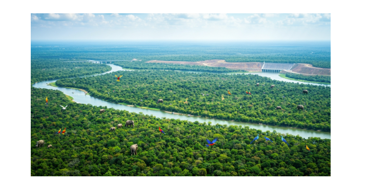 Environmental Policy in India - UPSC - UPSC Notes
